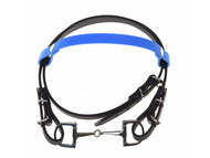 Bridle with Blue Headband (size S)