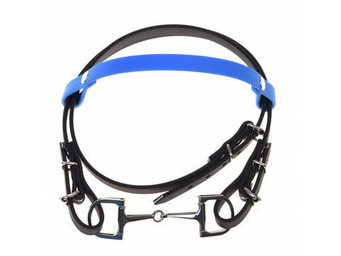 Bridle with Blue Headband (size S)