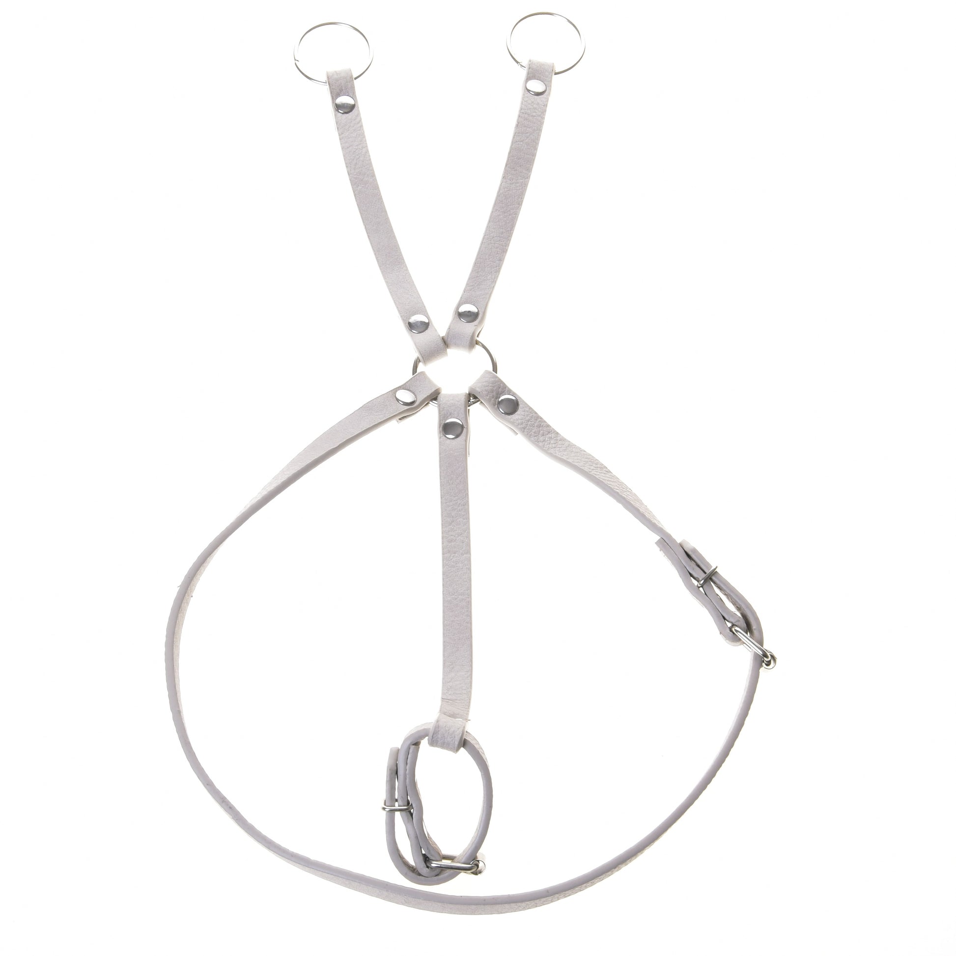 Aqua leatherette set - bridle, reins and martingale