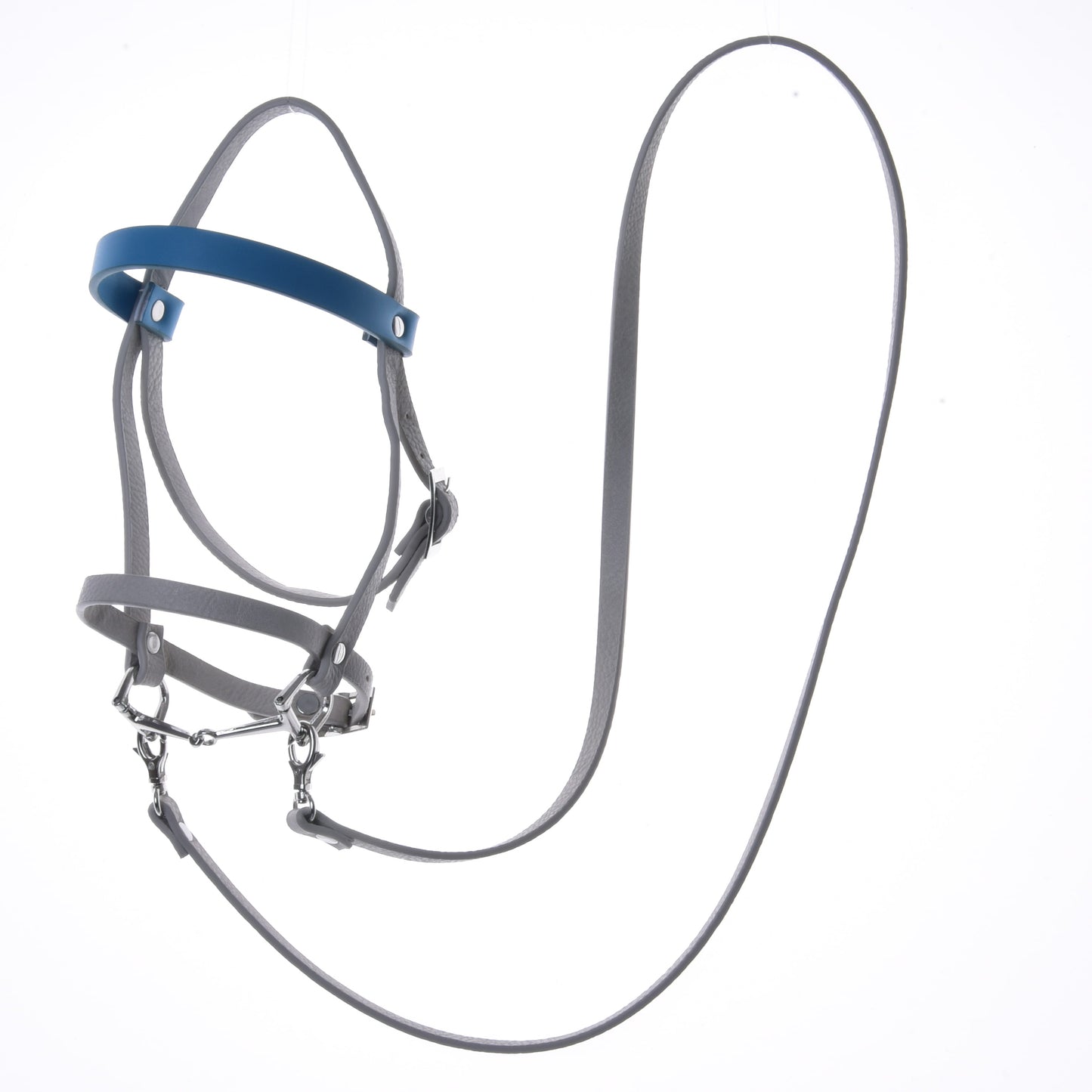 Aqua leatherette set - bridle, reins and martingale