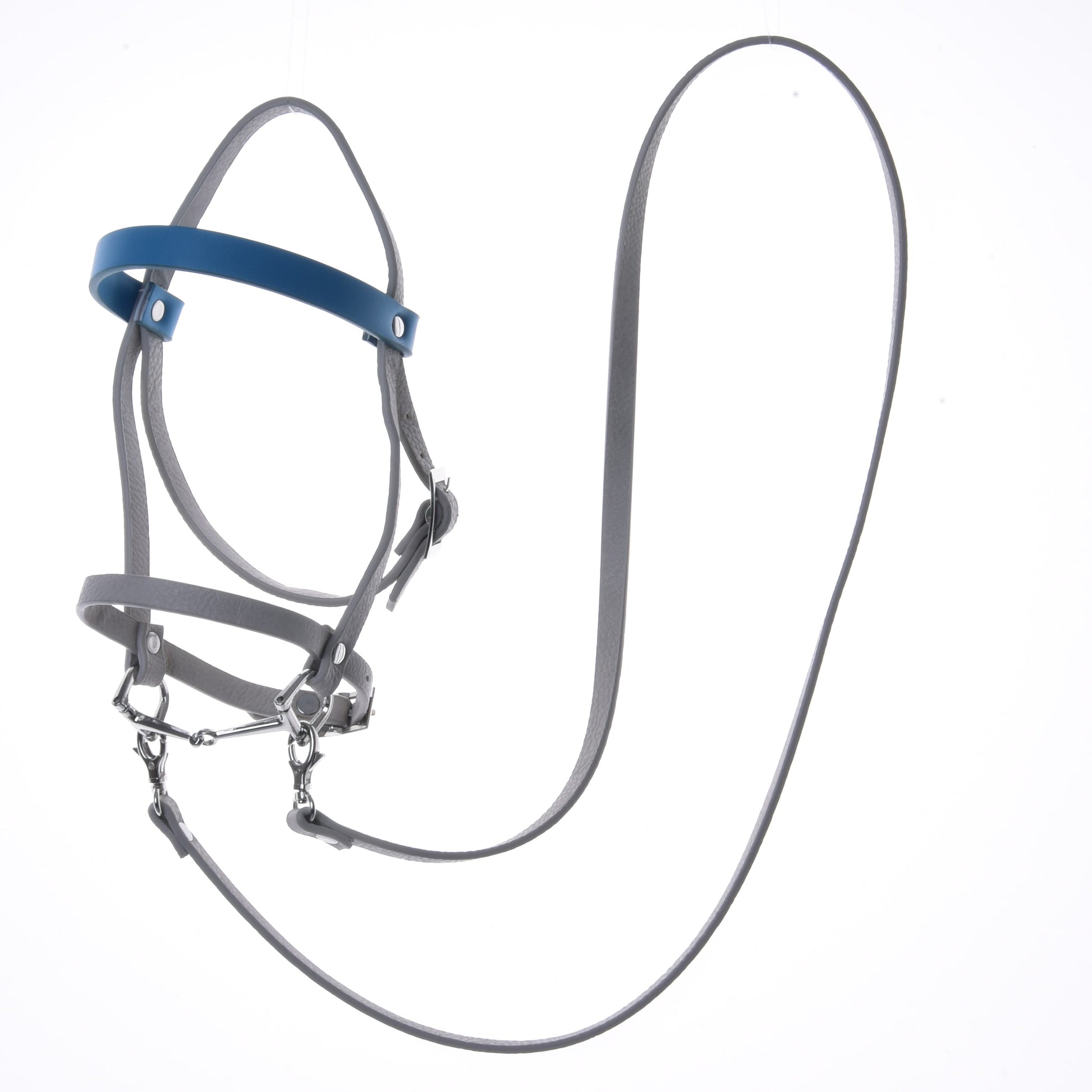 Aqua leatherette set - bridle, reins and martingale