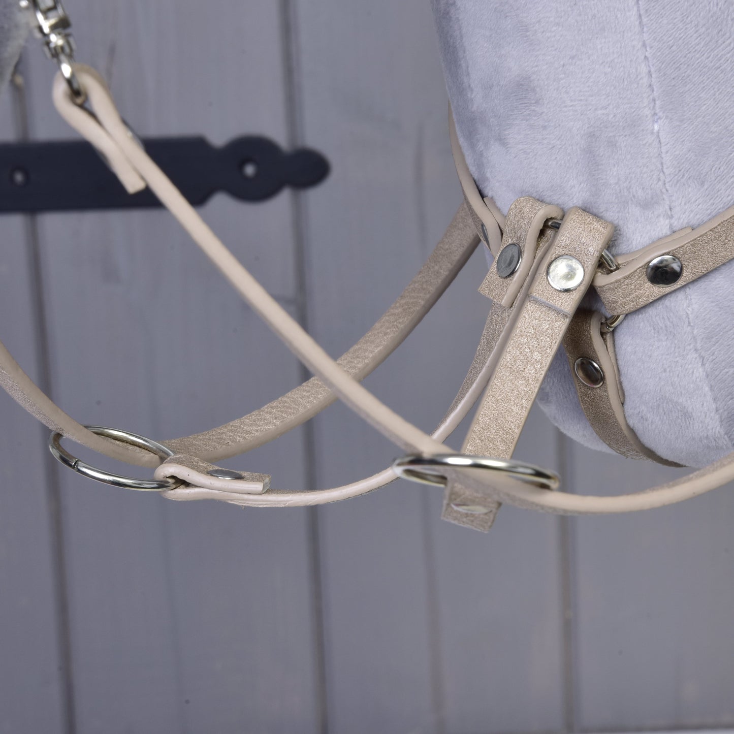 Bordeaux leatherette set - bridle, reins and martingale