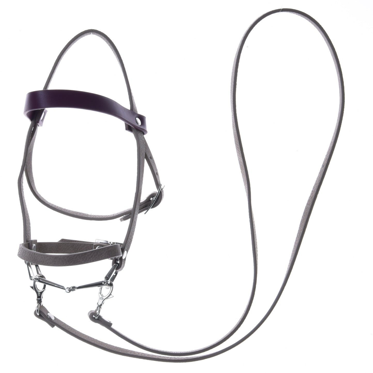 Bordeaux leatherette set - bridle, reins and martingale