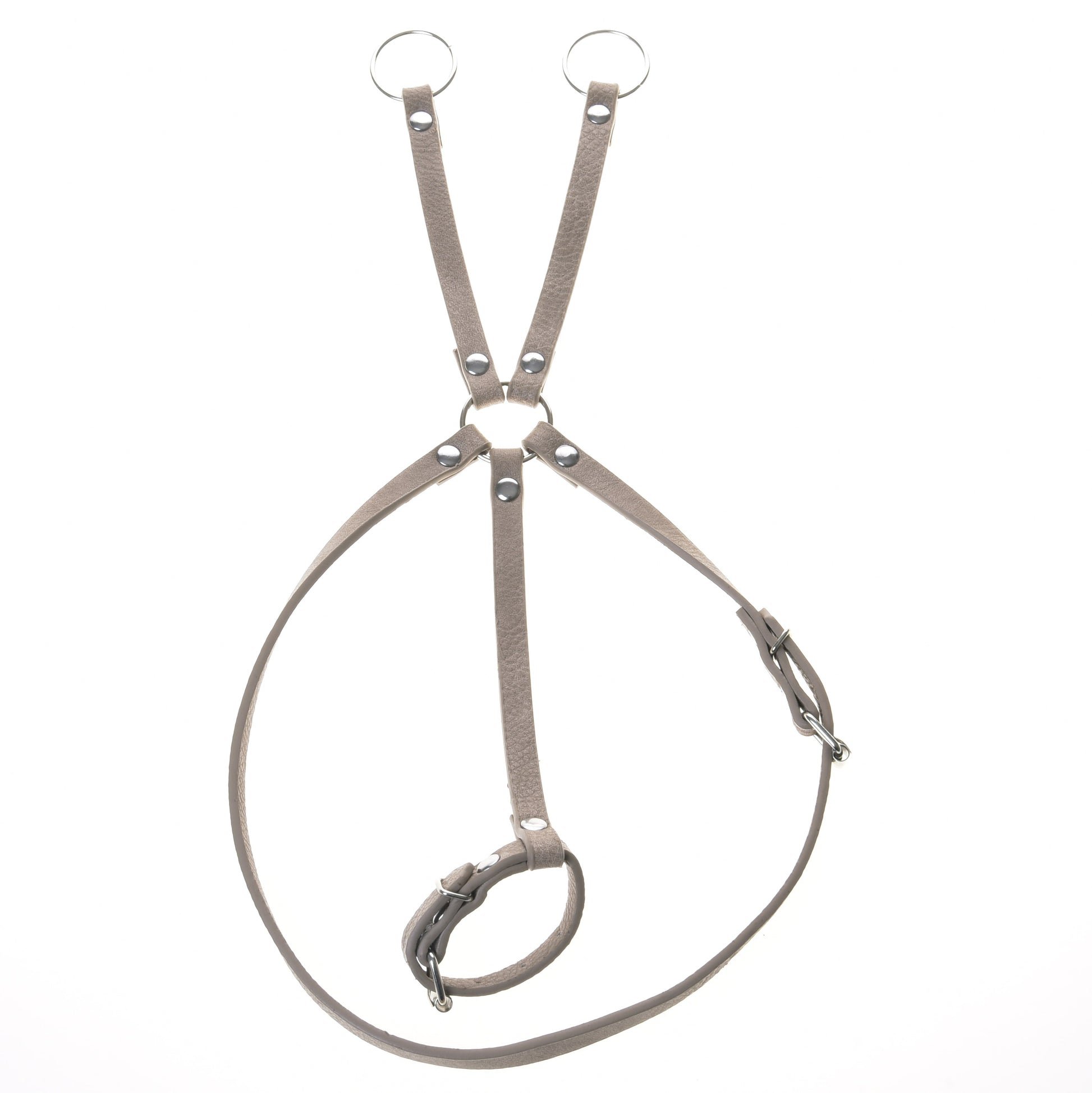 Bordeaux leatherette set - bridle, reins and martingale