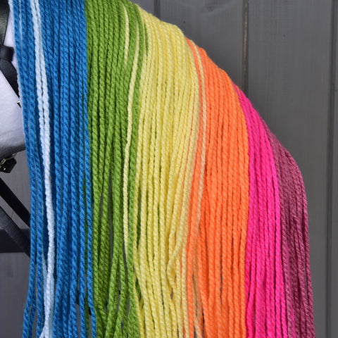 Hobby Horse Rainbow with Blue Halter