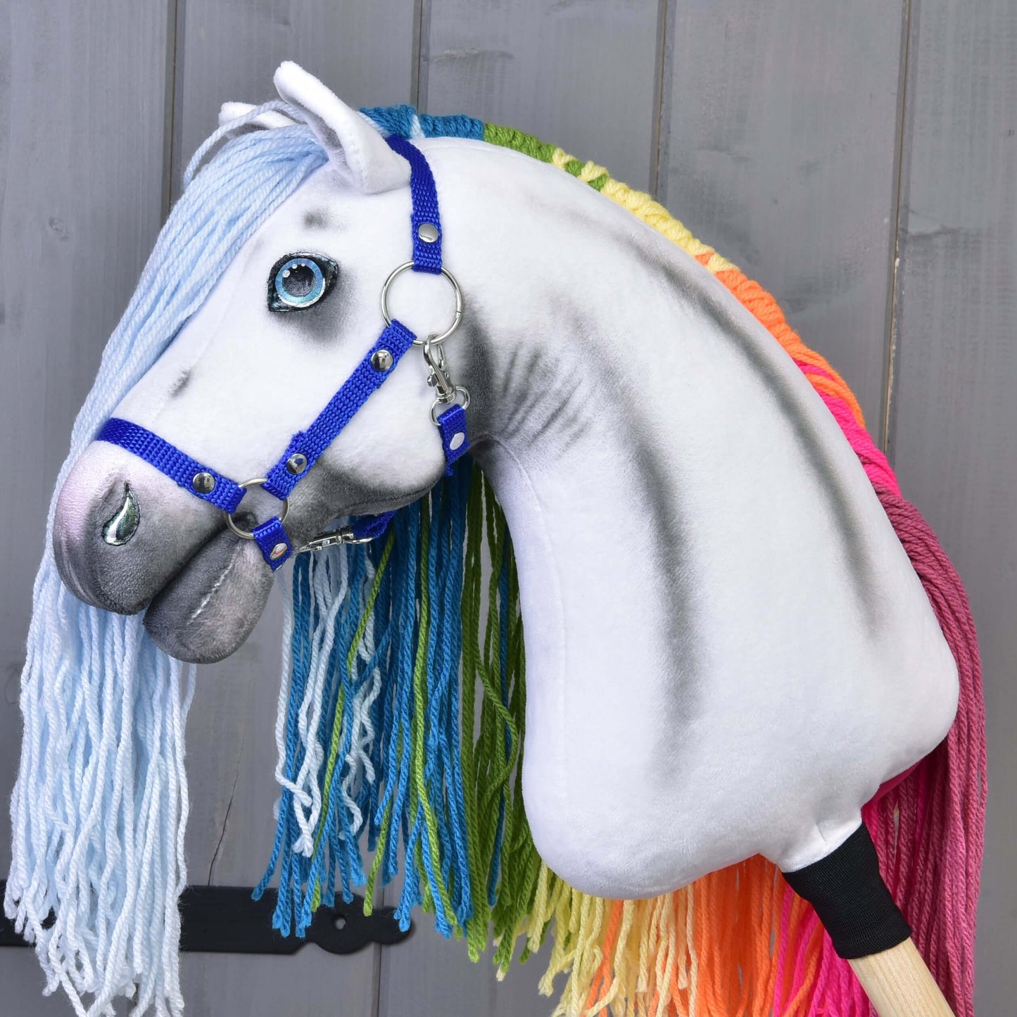 Hobby Horse Rainbow with Blue Halter
