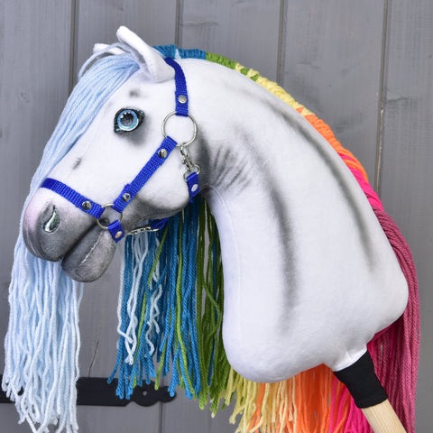 Hobby Horse Rainbow with Blue Halter