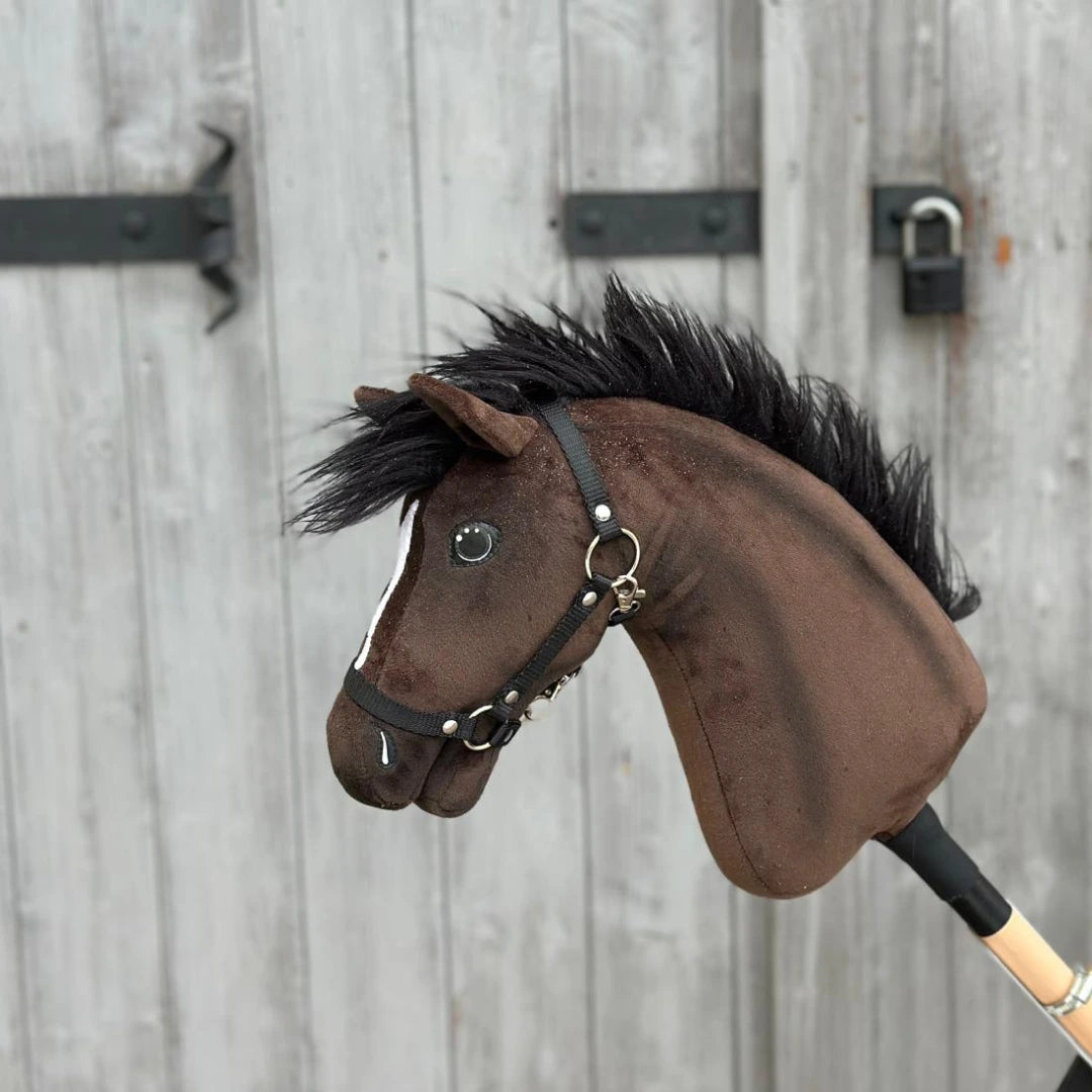 Hobby Horse Lucas with Black Halter