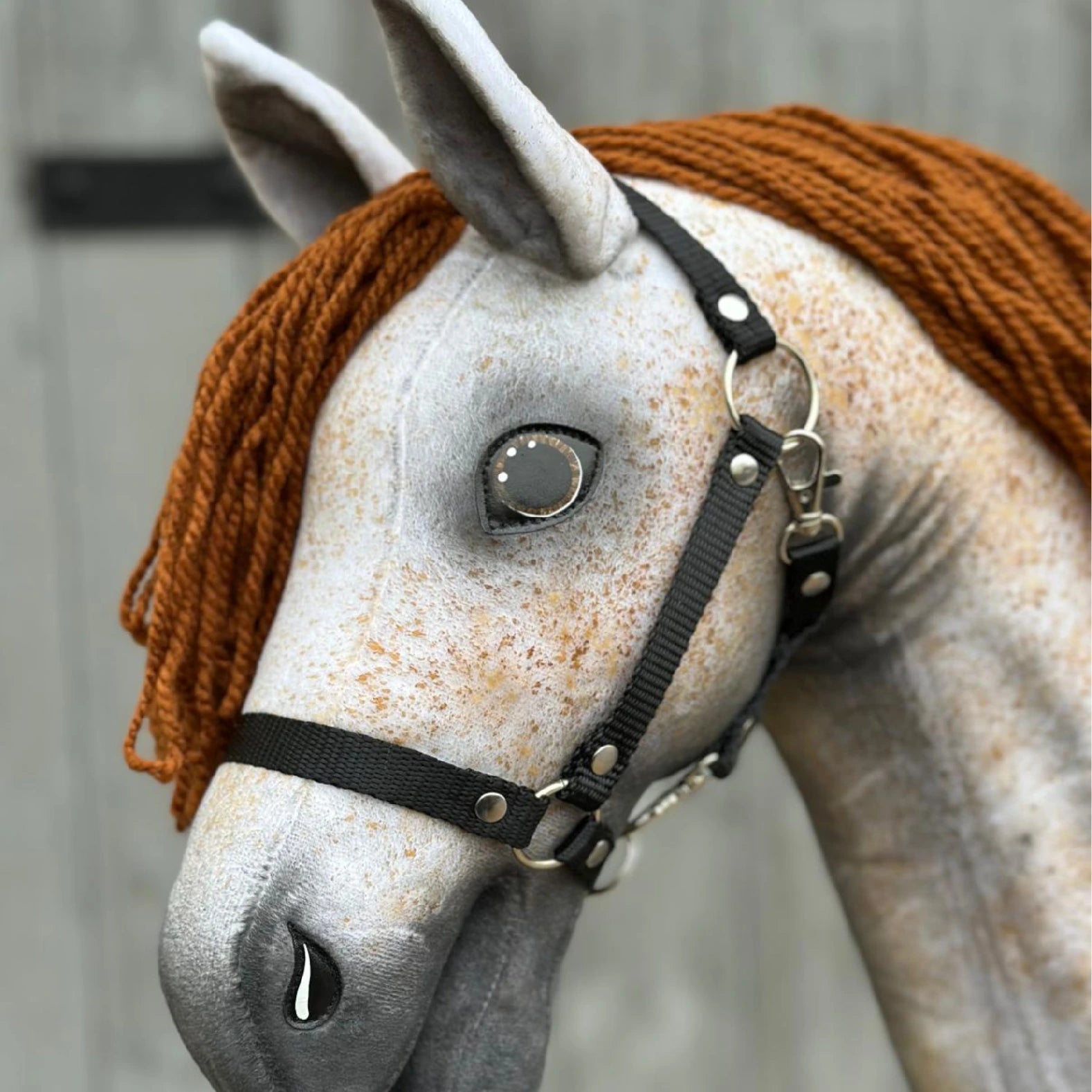 Hobby Horse Pompo with Black Halter