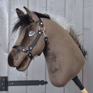 Hobby Horse Alfredo with Black Halter