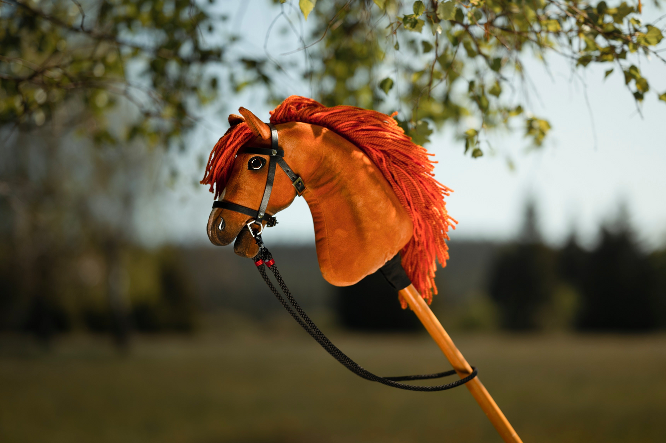 Hobby Horse LarDen Handmade Hobby Horse Toys for Kids Hobby Horse LarDen Handmade Hobby Horse Toys for Kids