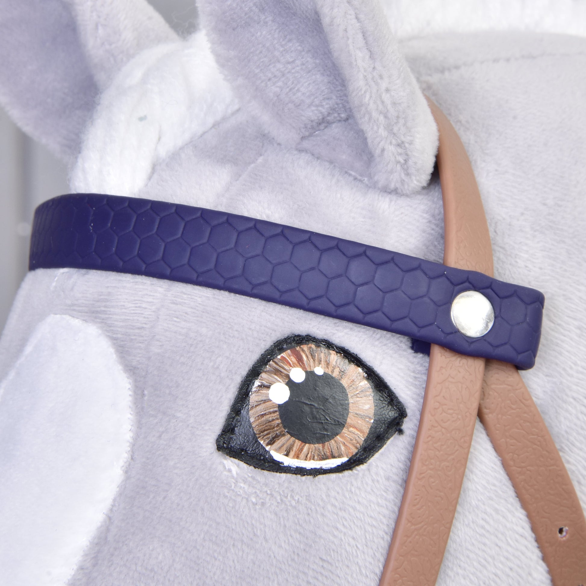 Complete bridle with noseband Brown Purple