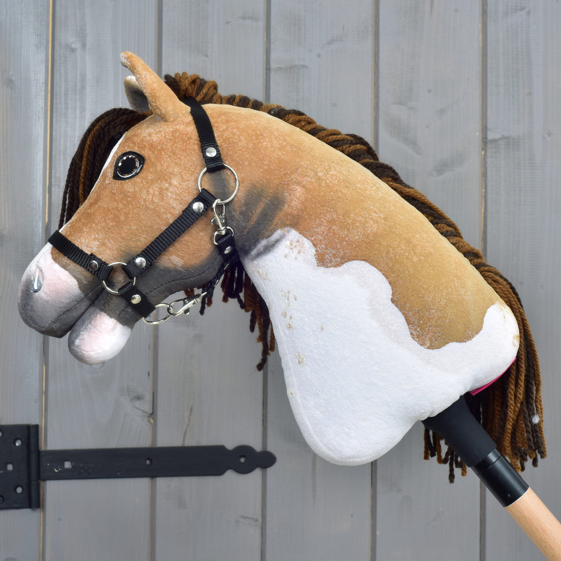 Hobby Horse Buttercup