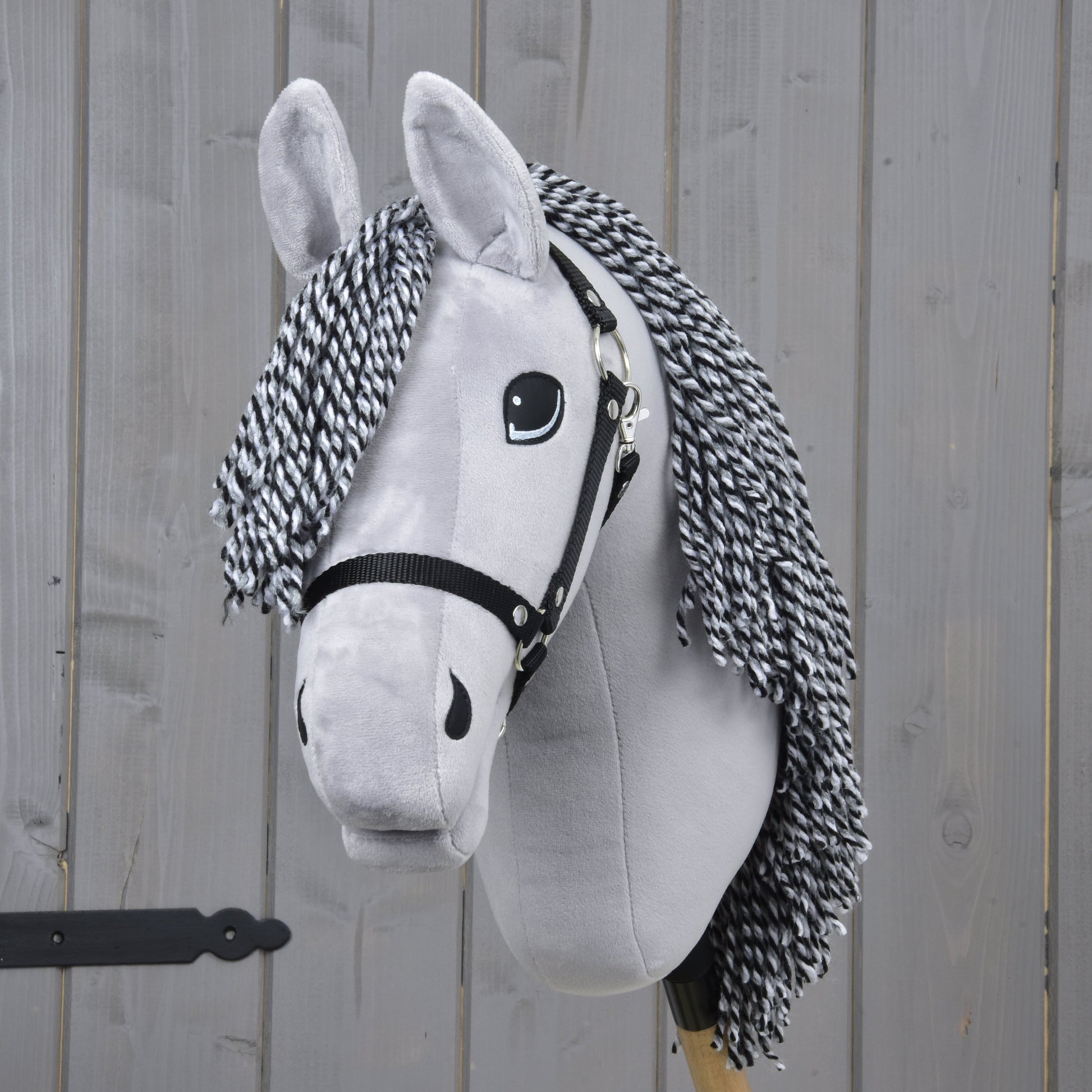 Hobby Horse Caesar with Black Halter