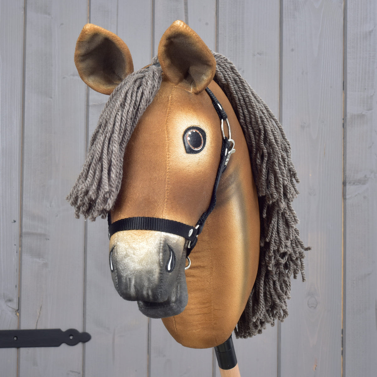 Hobby Horse Apache