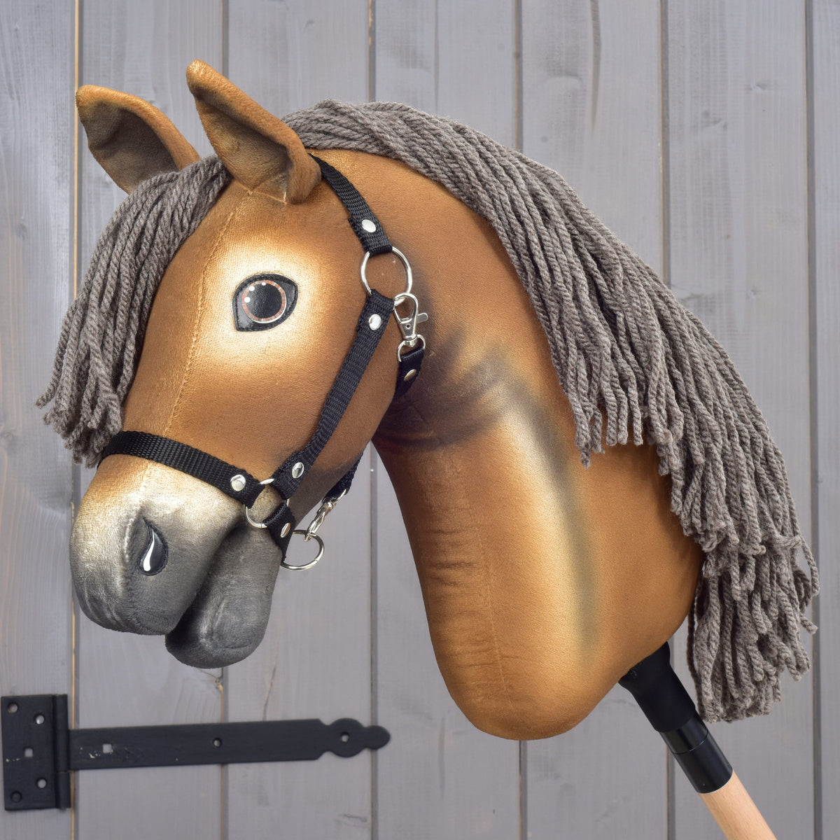 Hobby Horse Apache