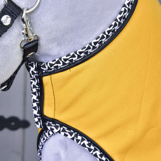Set Yellow Beauty