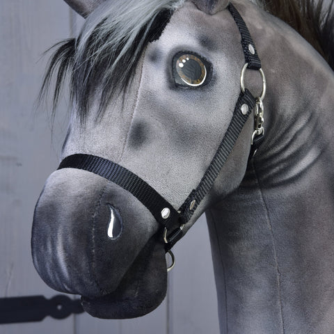 Hobby Horse Donkey Olin with black halter 2