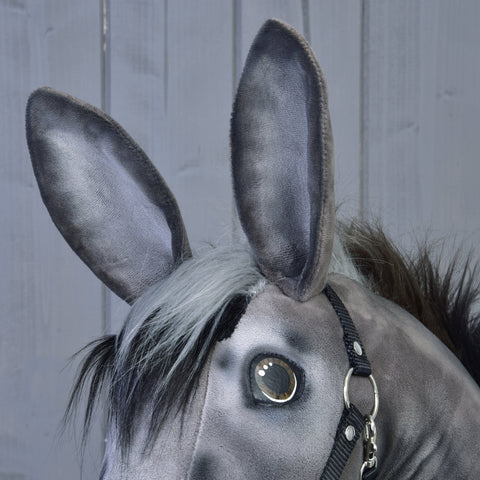 Hobby Horse Donkey Olin with black halter 3