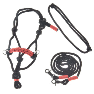 Rope set Spark