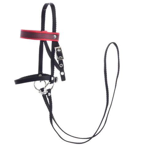 Black Bridle with Red Decoration from Strap (size M)