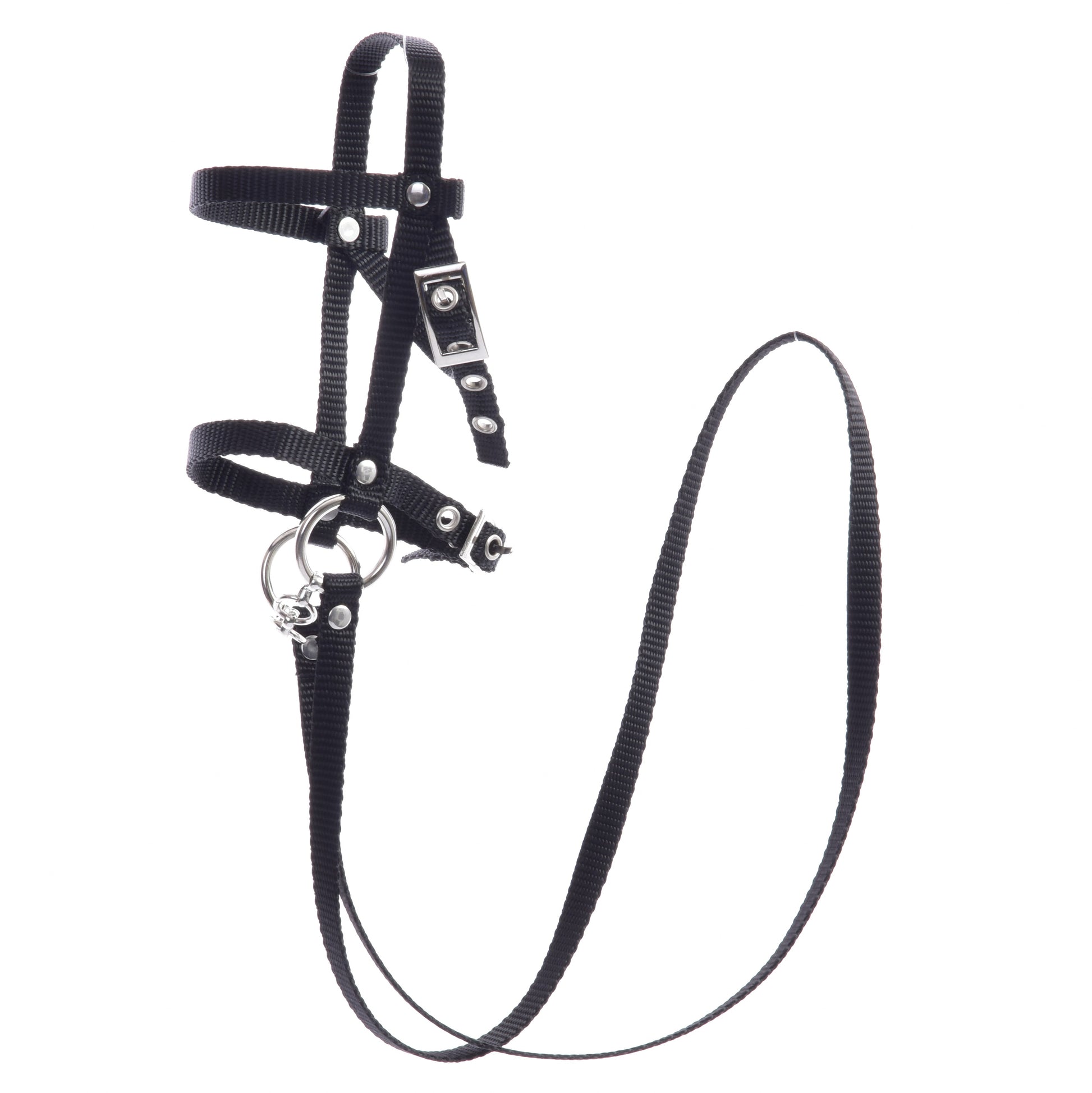Black bridle with reins from strap