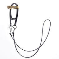 Complete leatherete bridle black with gold headband