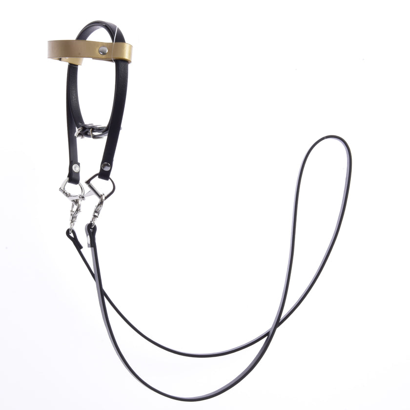 Complete leatherete bridle black with gold headband