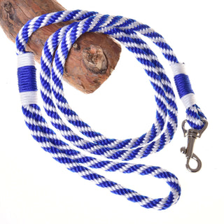 Set Start blue (halter, leash, reins, cordeo)