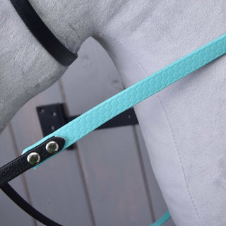 Complete bridle without noseband turquoise