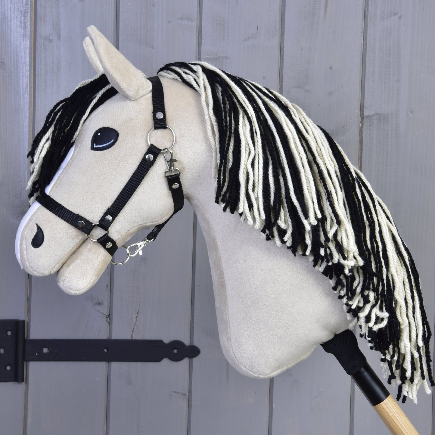 Hobby Horse Aurora with Black Halter
