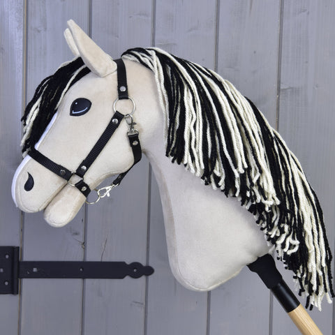 Hobby Horse Aurora with Black Halter