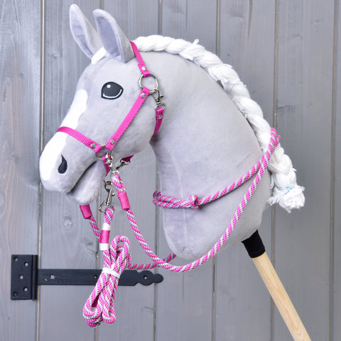 Set Start pink (halter, leash, reins, cordeo) 1