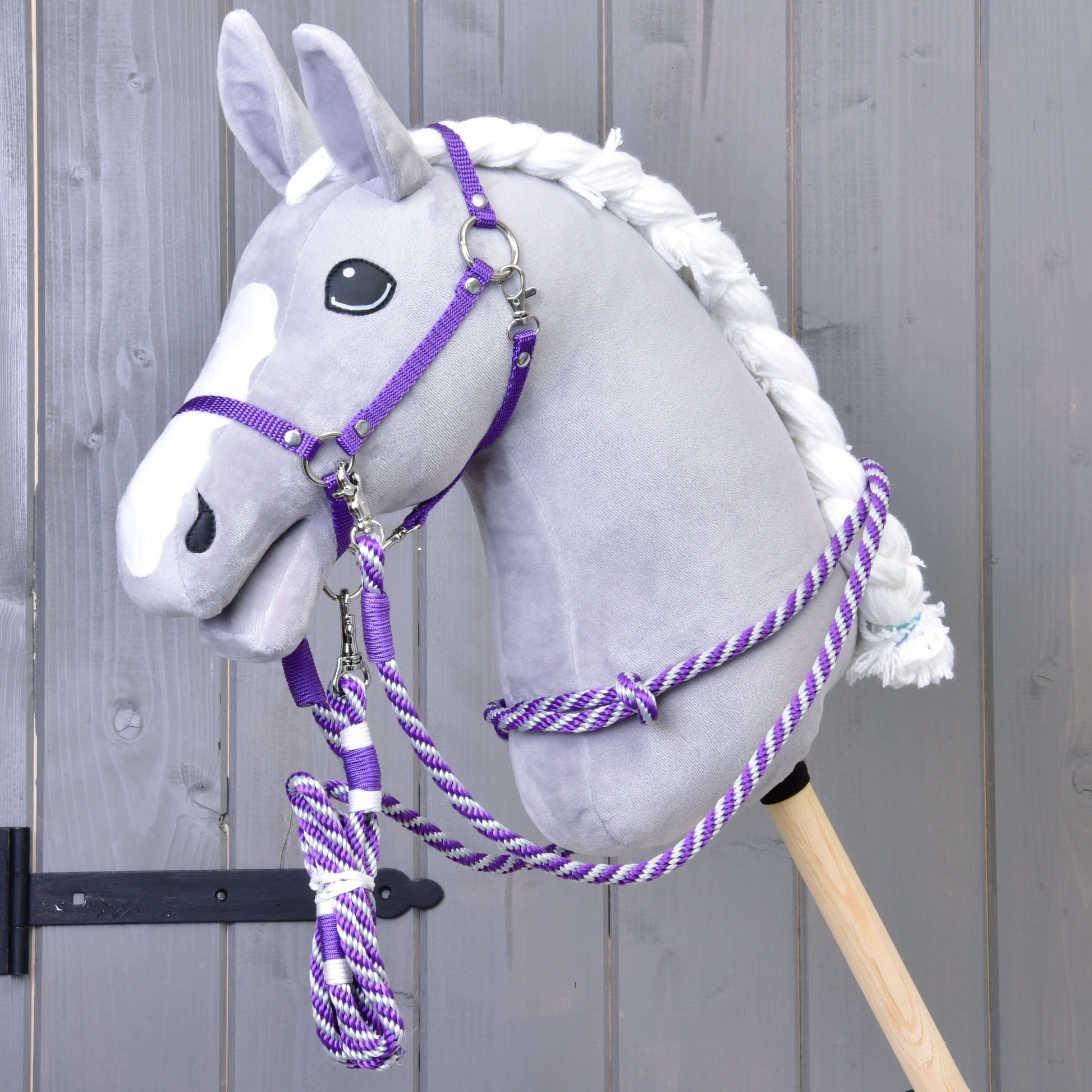 Set Start Purple (halter + cordeo + lead rope + reins)