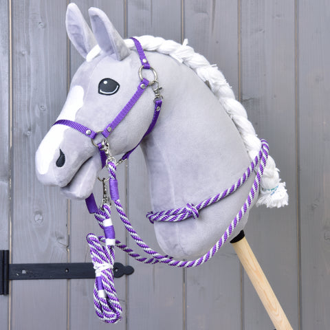 Set Start purple (halter, leash, reins, cordeo) 1