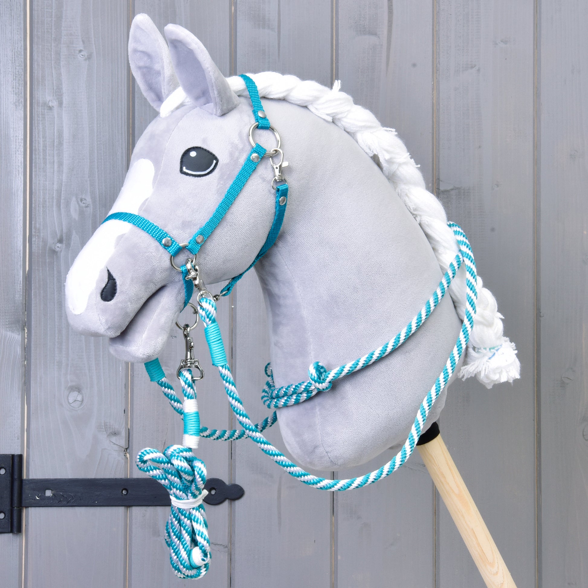 Set Start Turqouise (halter + cordeo + lead rope + reins)