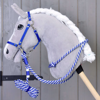 Set Start blue (halter, leash, reins, cordeo)