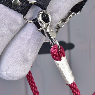 Reins Czi-czi