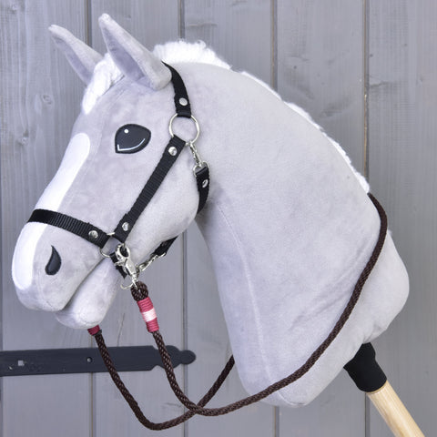 Reins York