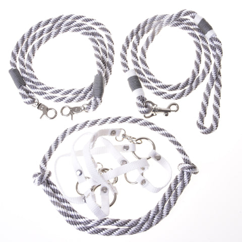 Set Start silver (halter, leash, reins, cordeo)