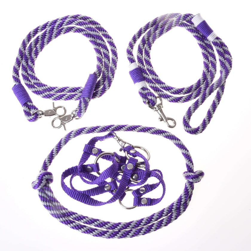 Set Start Purple (halter + cordeo + lead rope + reins)