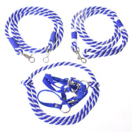 Set Start blue (halter, leash, reins, cordeo)