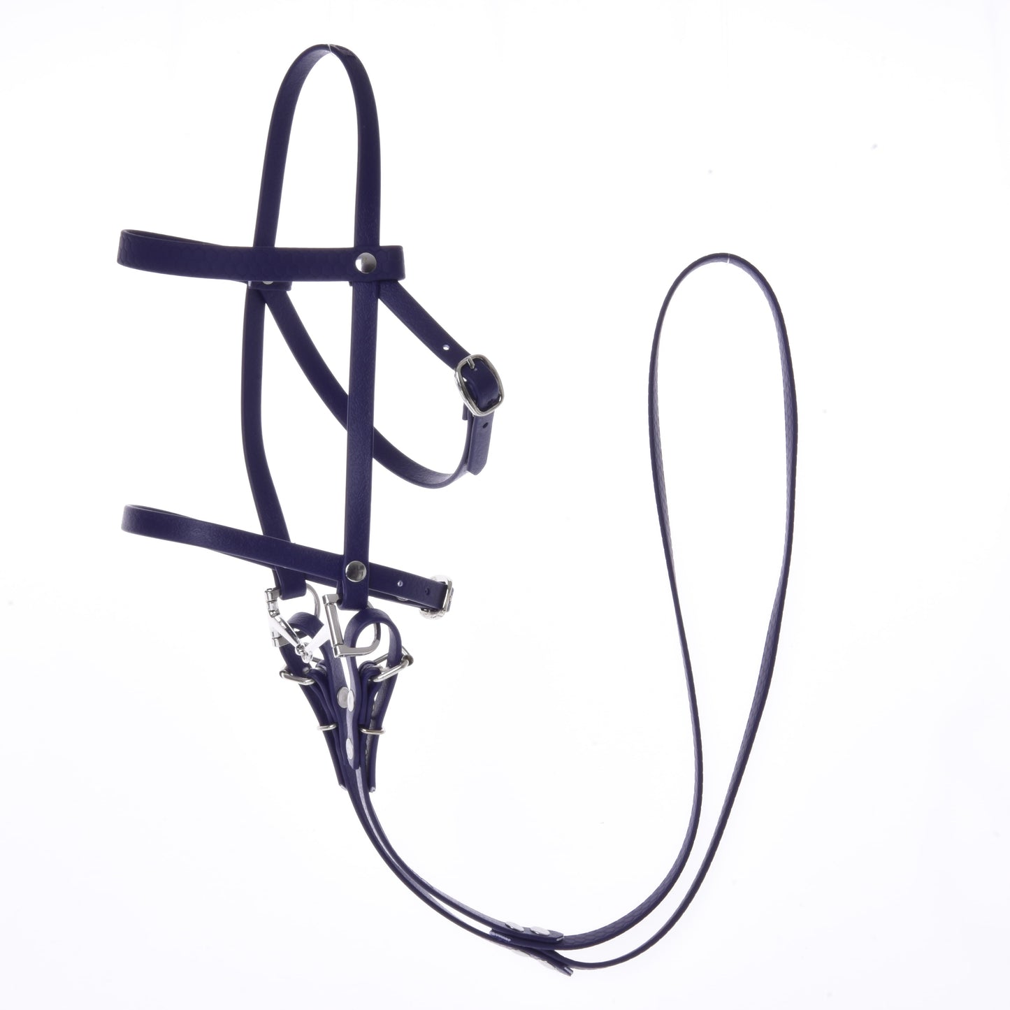 Complete bridle with noseband Dark Purple