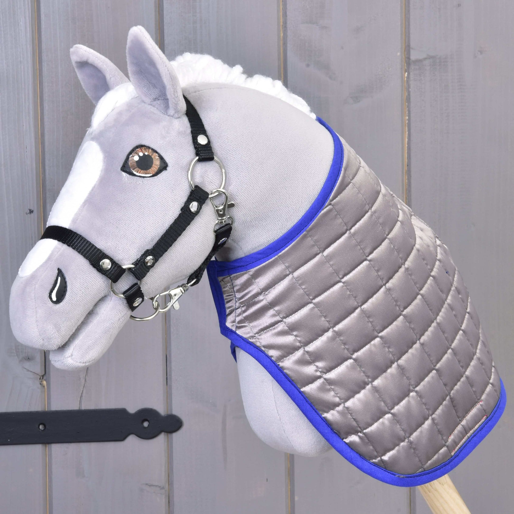 Blanket DeLuxe Blue double-sided