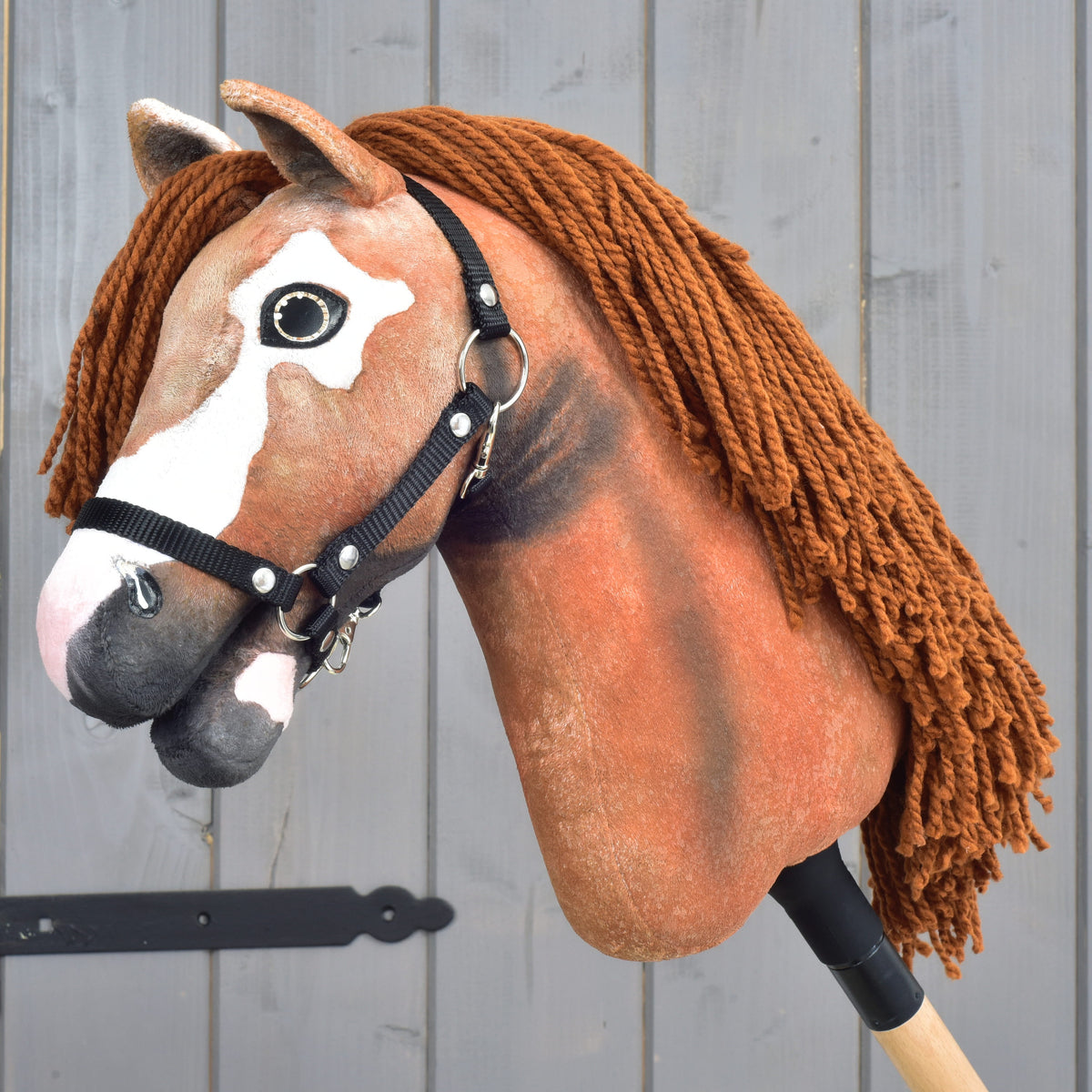 Hobby Horse Duke