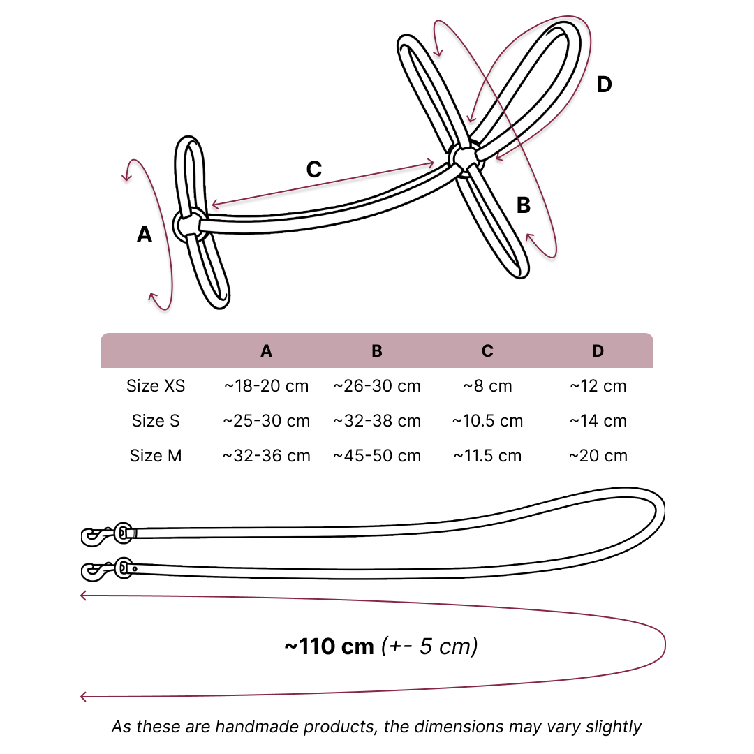 Diagram showing a balloon dog with labeled dimensions (A, B, C, D) and a table listing approximate sizes for XS, S, and M in centimeters. Below is a leash—ideal for Hobby Horse or Hobby Horsing—measuring about 110 cm plus or minus 5 cm.