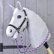 Reins Flag CZ