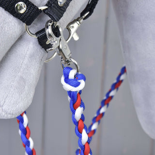 Reins Flag CZ