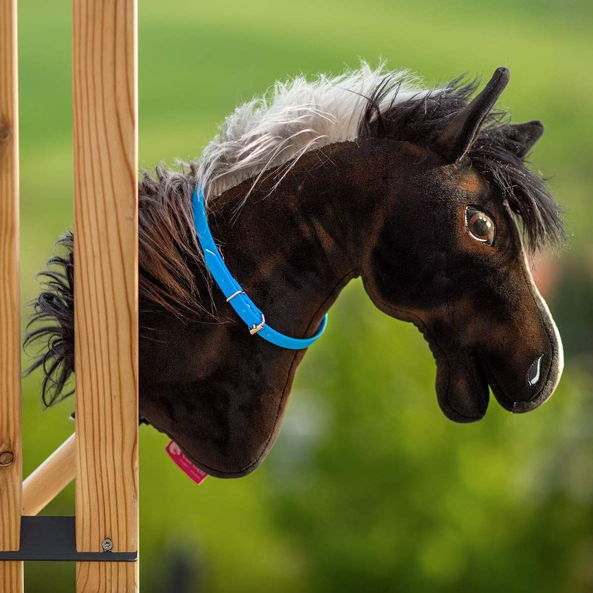 Cordeo black – Hobby Horse cordeo for your companion