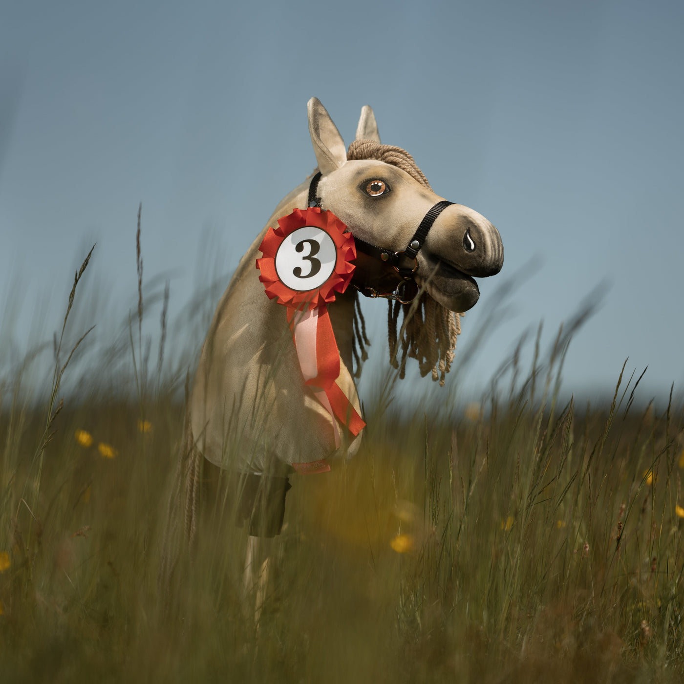 Hobby Horse Ribbon LarDen Pink – A ribbon for the winner